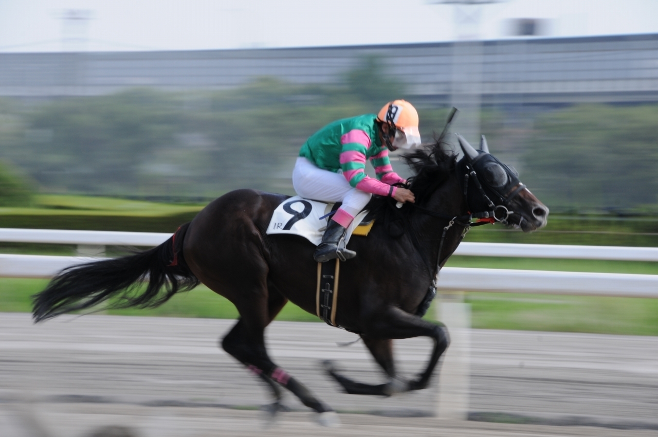 ８月９日船橋競馬場 競馬の流し撮り 撮り馬